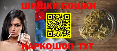 трава Сланцы