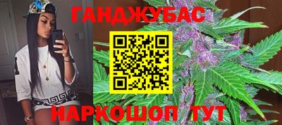 трава Сланцы