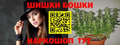 трава Сланцы