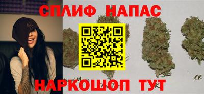 spice Славянск-на-Кубани