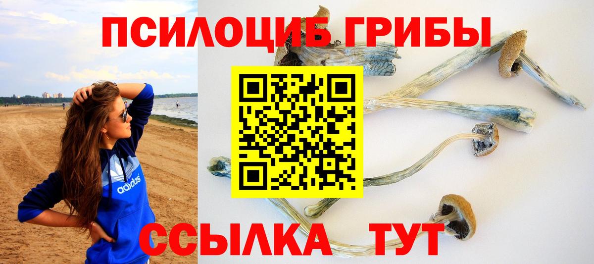 Галлюциногенные грибы мухоморы  Псилоцибиновые грибы GOLDEN TEACHER  Вход с VPN  Партизанск 